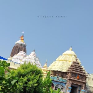 Puri Temple Odisha