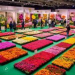 Annual Flower Show 2025: Venue, Time, Date All Details Updated.